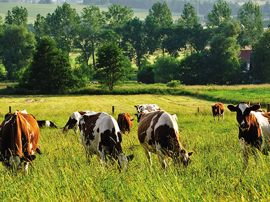 Farm Innovations agentem TUW PZUW