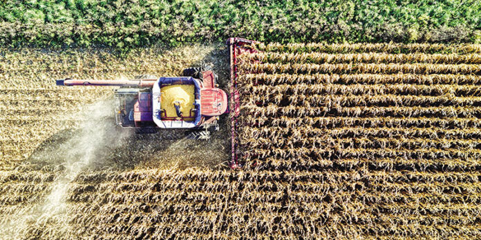 zajawki na 1 - 14 tlo